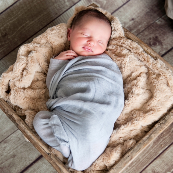 Tampa Newborn Photographer, newborn photographer, baby girl